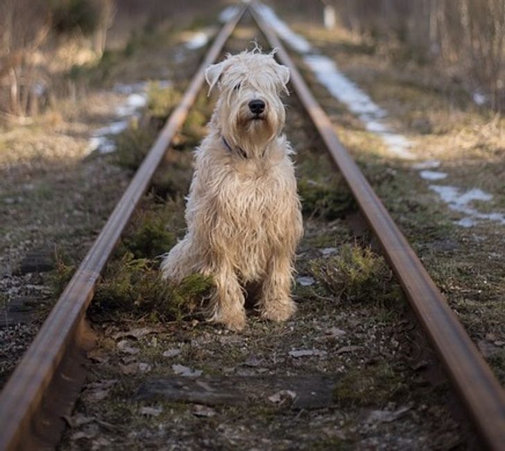 3fe91457599054e300105ef530