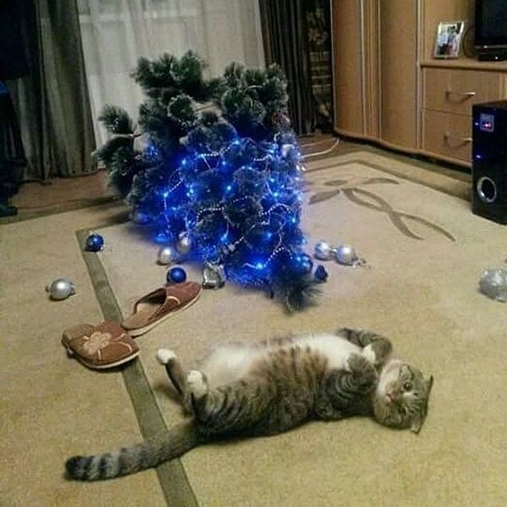 3fe9665bbabee3762bd8d2ccc8