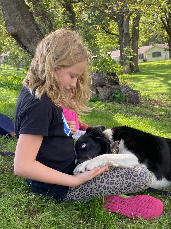 3feafe5d2e8fb35341b46745a7