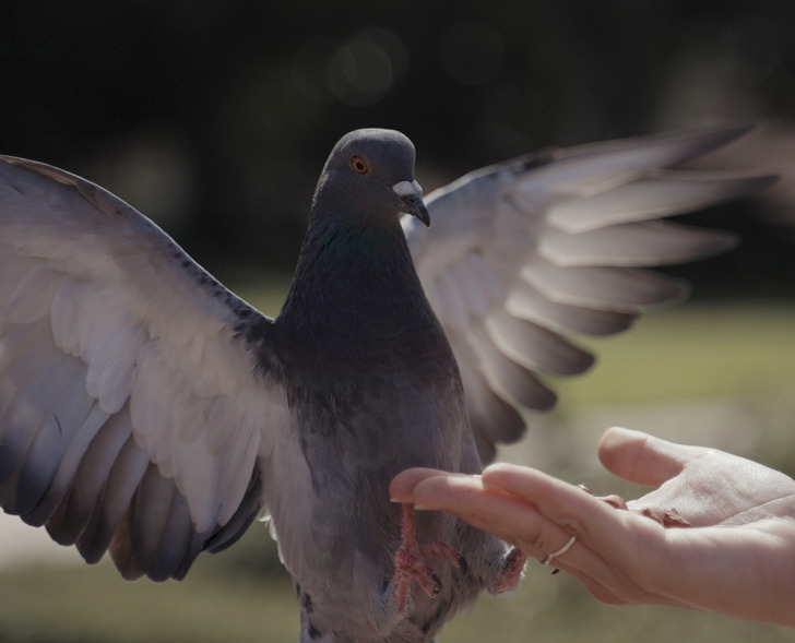 3ffd0a5eb298c7fe8b7995cfc1