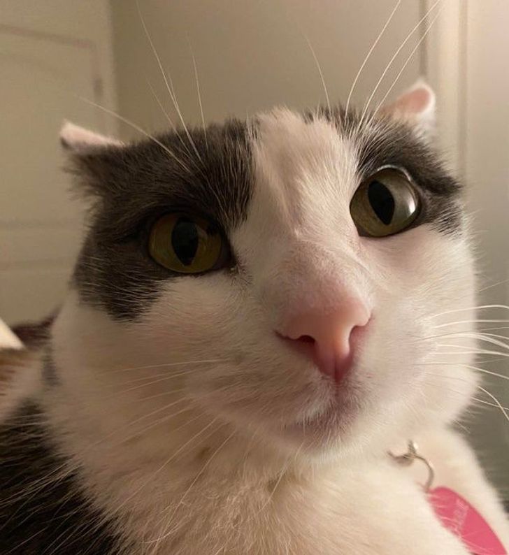 40043c5424a5c7056a4da5e10e