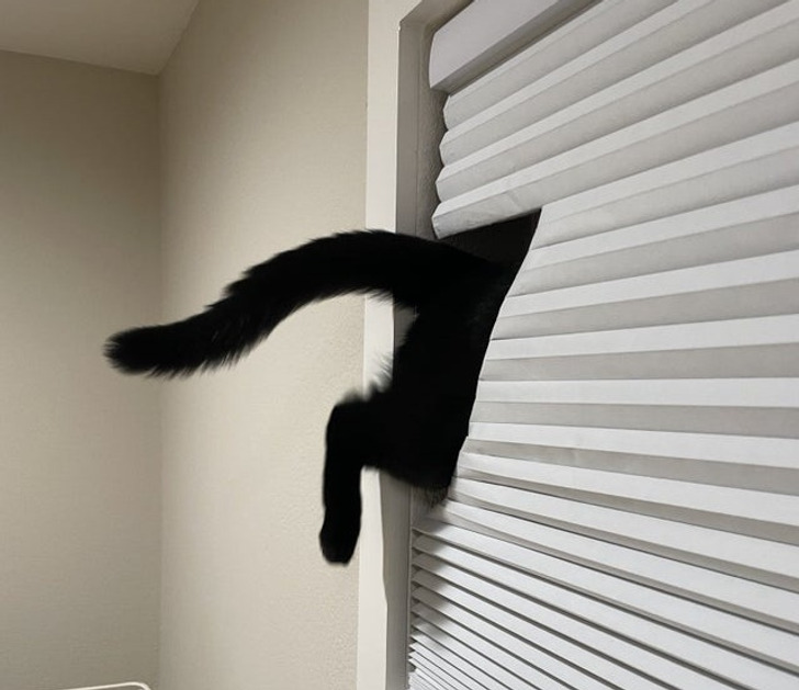 4007a75554b5226881f57a5e50 4007a75554b5226881f57a5e50