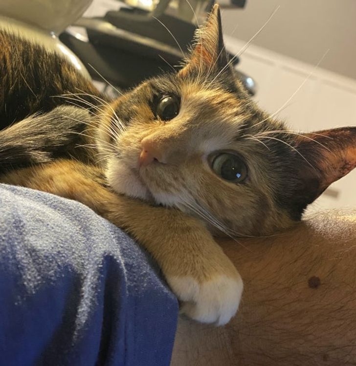 400ae155a8b8bf1ca3b9ffa0e6