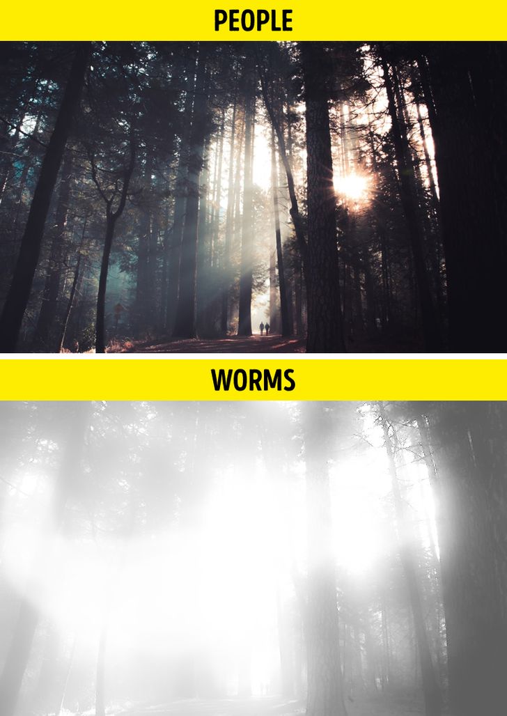 400df15832b44f28274c376fe7