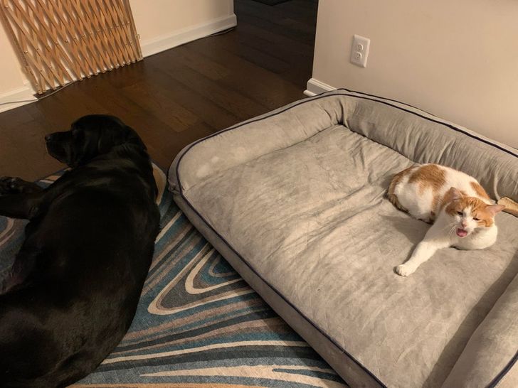 401b7254edae8e13b3505e8a5b