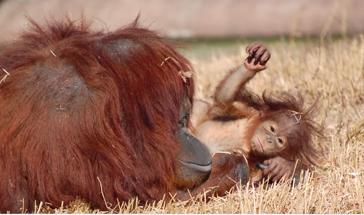 401d235fe0b3f2bdeb6a2b8aac