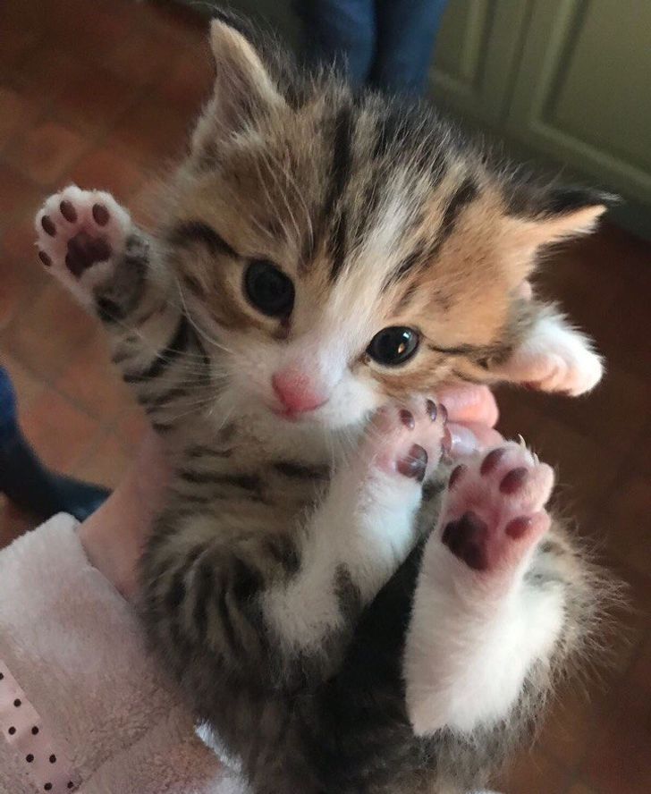 40244a53bea828761bf840be9c