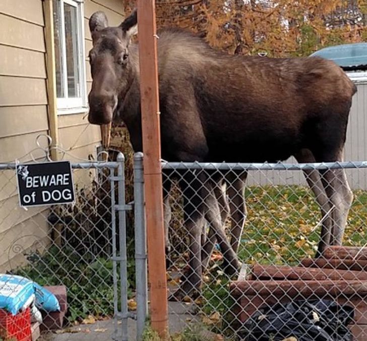 4028e0531ba7044f1052df2fbb