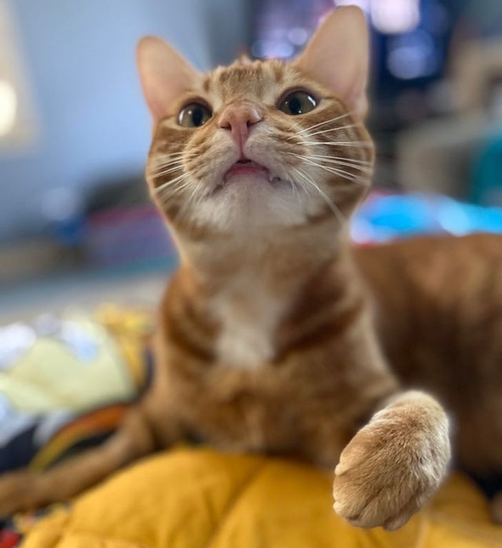 40409a5f5f8cf368eb68b6e5fa