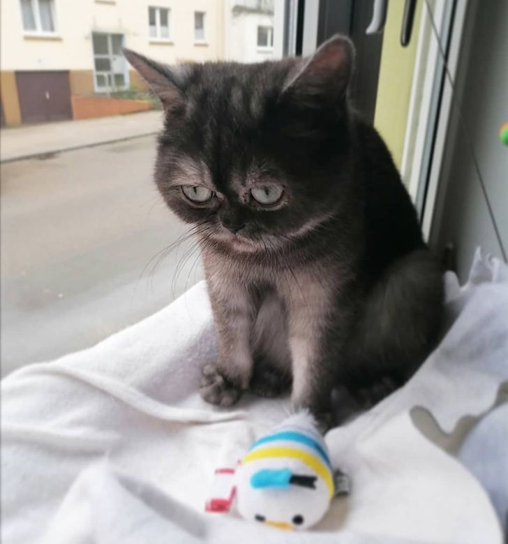 4041a75b19a2228ade3f2ef0af