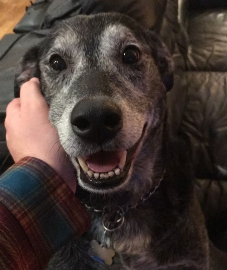 40455d537da71e60fe29346589