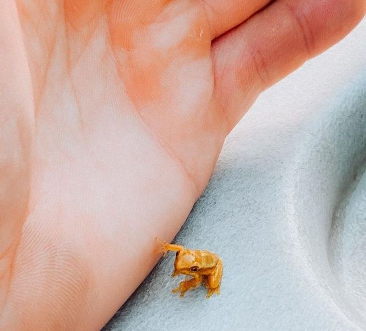 4047e65df997097a6c6c26a52c