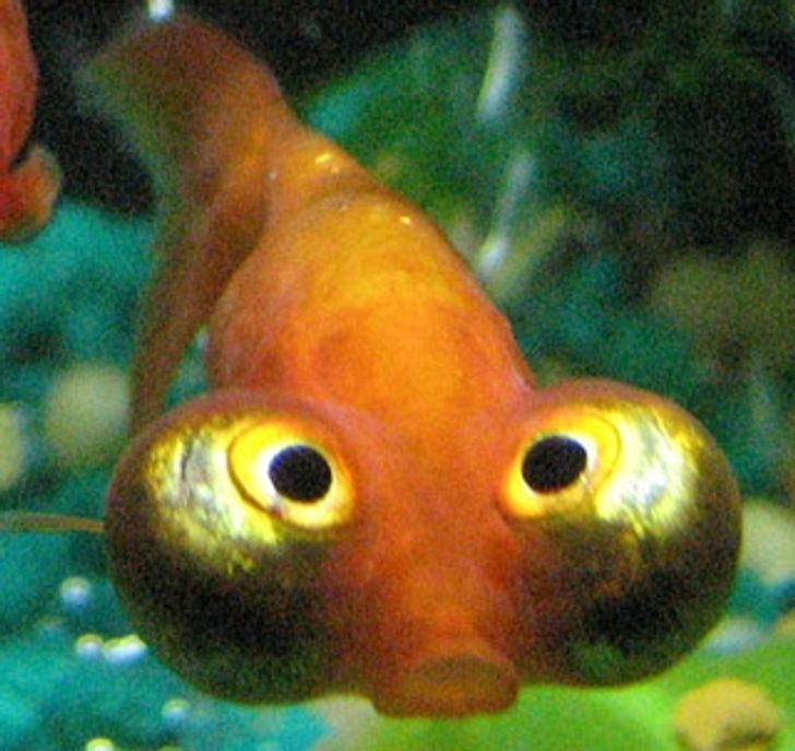 40591a5db5b5dce027a0befd6a