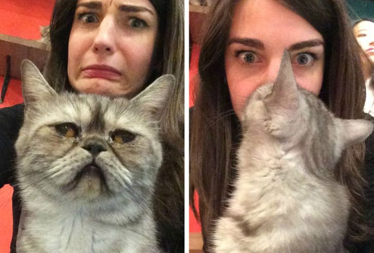 405c47506cacdb0880f6a41ecd