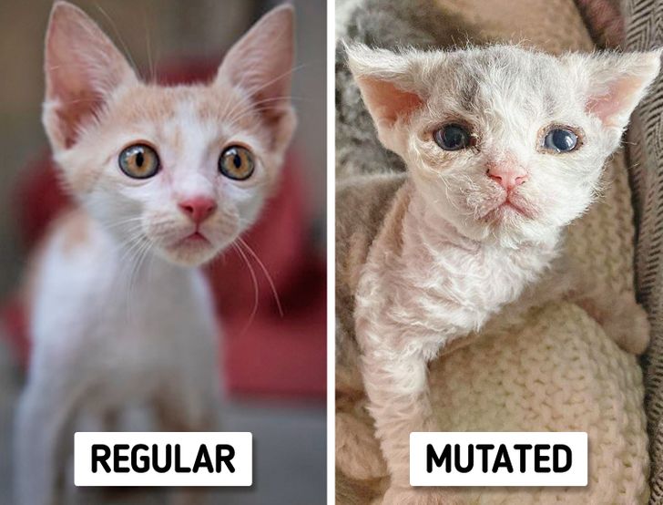 405ca8510e819a46e79514aa78