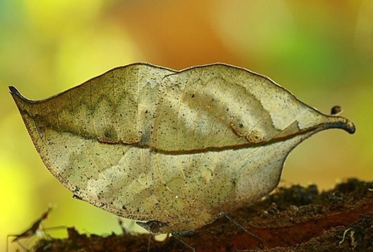 406a7959c1982e7940b848d056