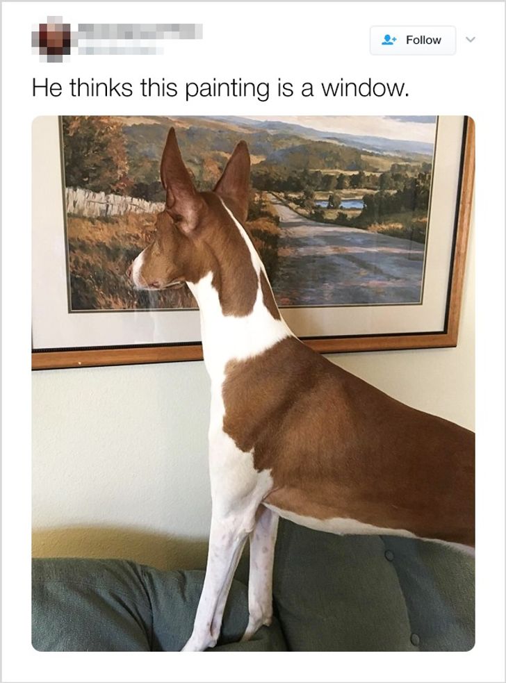 407a60599d84dbf401a297da5e