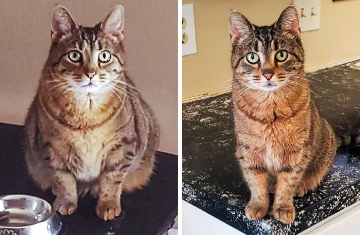 40852e5876acfb196f5277f5eb