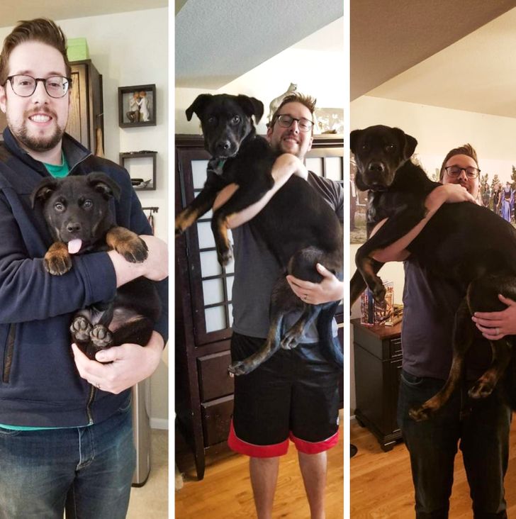 408606567981b0cf26cbdb9455