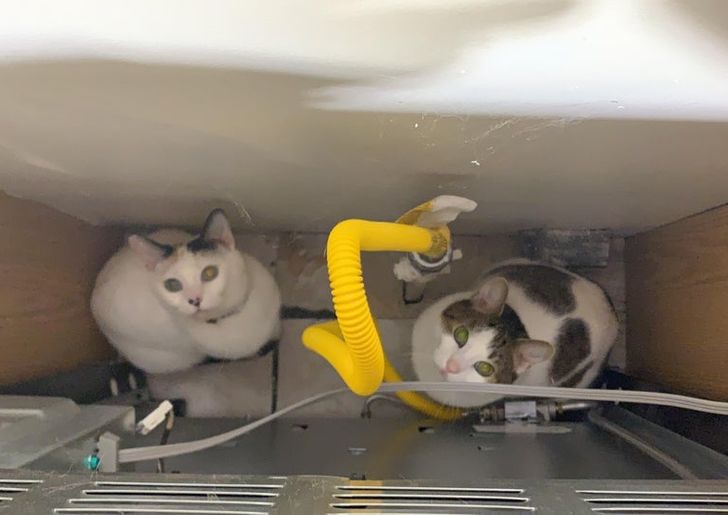 408c8351cabc45d2c153e6a40d