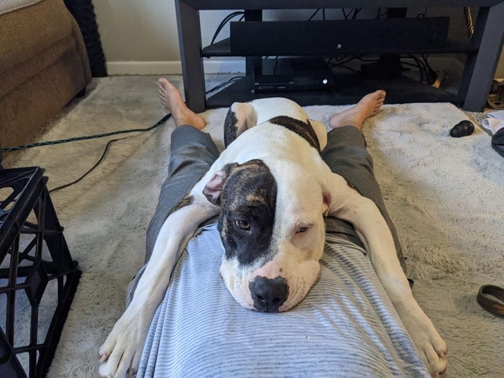 40945e5faa9a4bc96891146916