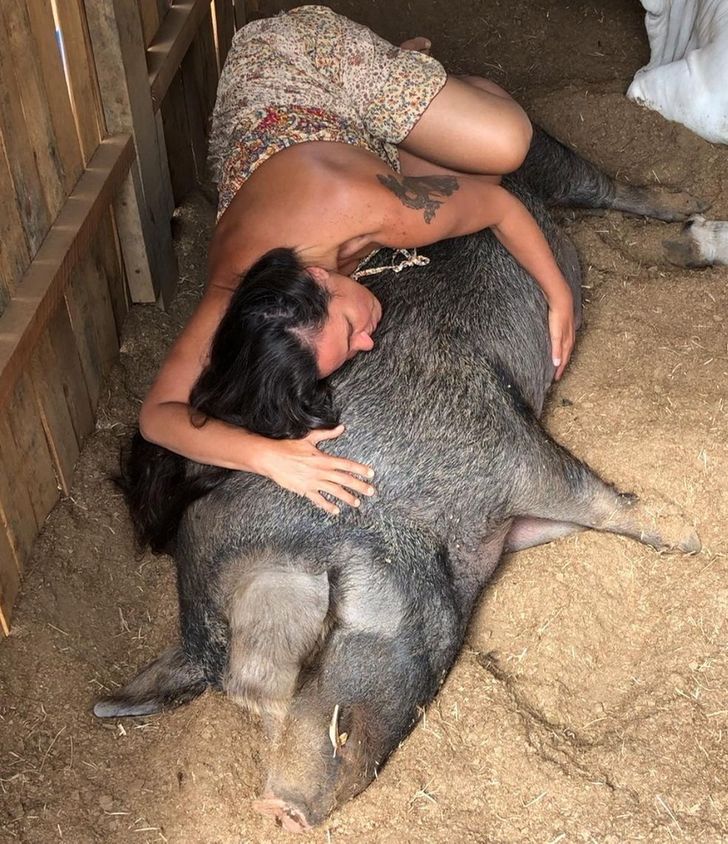 40997d5a188d025a0043092056