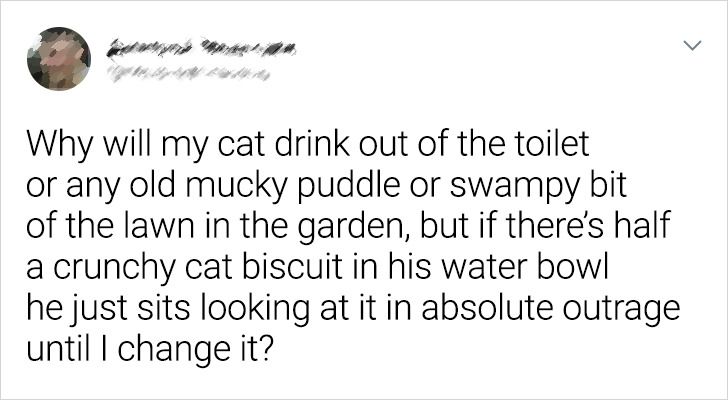 409ab059cb84b80acf68185829