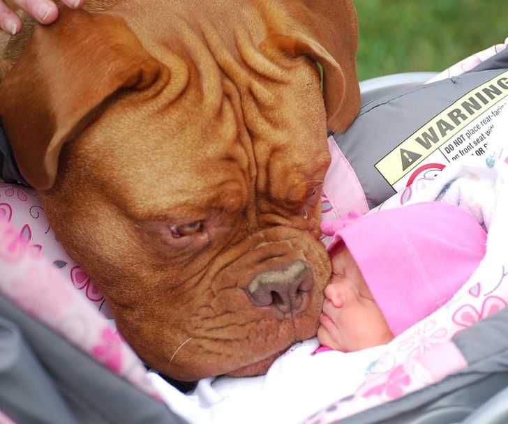 409e5257d8a4471481cc405ad7