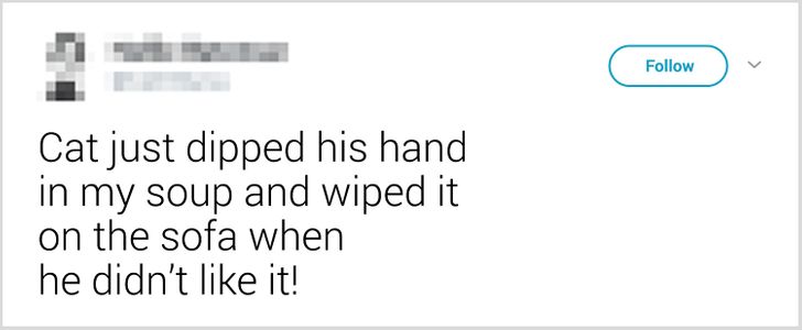 40abe1545c925f370f85e9f952