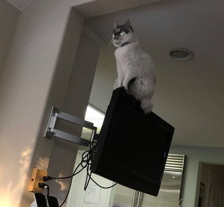 40b0375651a609ee5221287c69