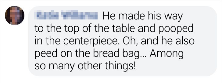 40b8195f1abf244adead731dcd