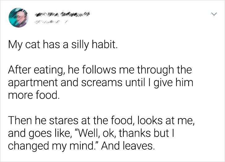 40bb3b536faf5faef8beaf7a00