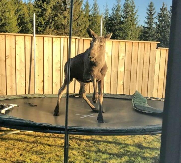 40c30255a8b71679c954309498