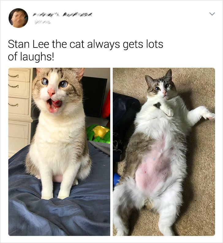 40d4675a9fbd0866cd208ef699