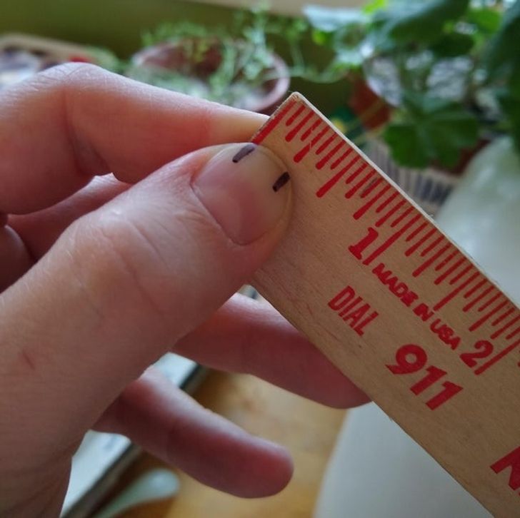 40d5e55285b00cb05b6ffcdff3