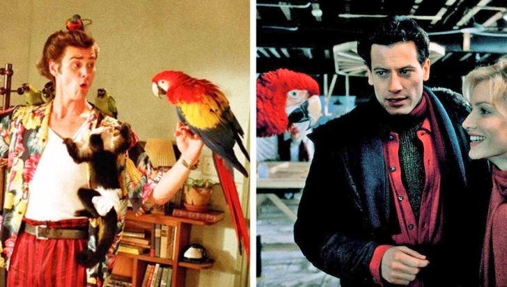 40dc40593a9a52626a21fe5fbd