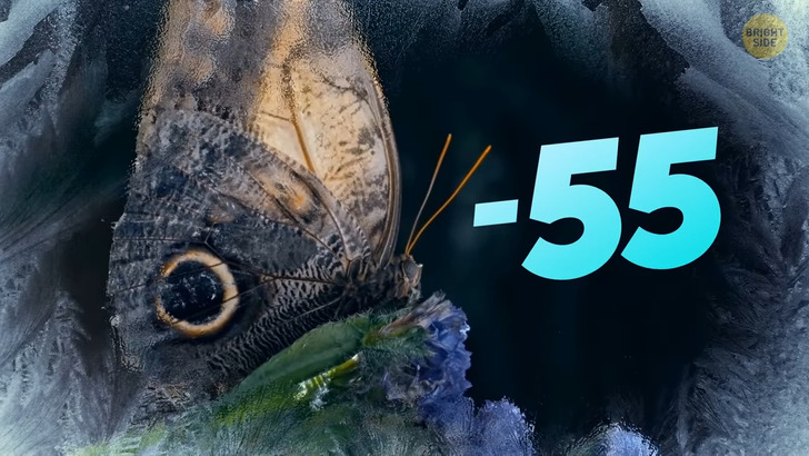 40e0575d2e865384e1d34062b5