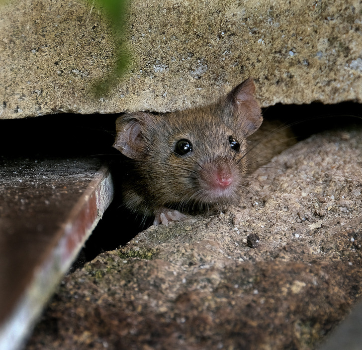 40e0aa50ea838748c90586dc8c