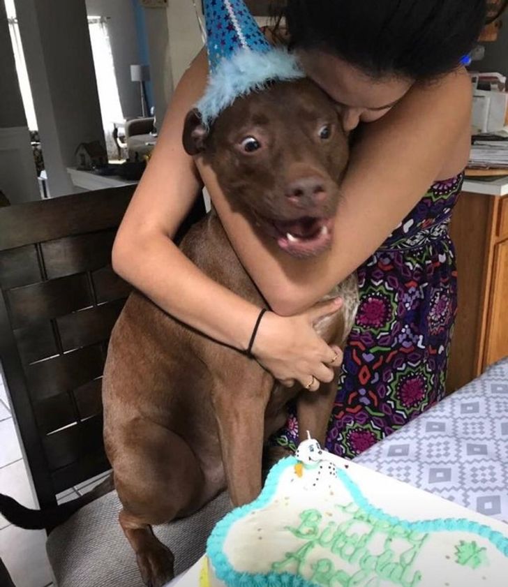 40e8e55e78bc6a62182f80d062