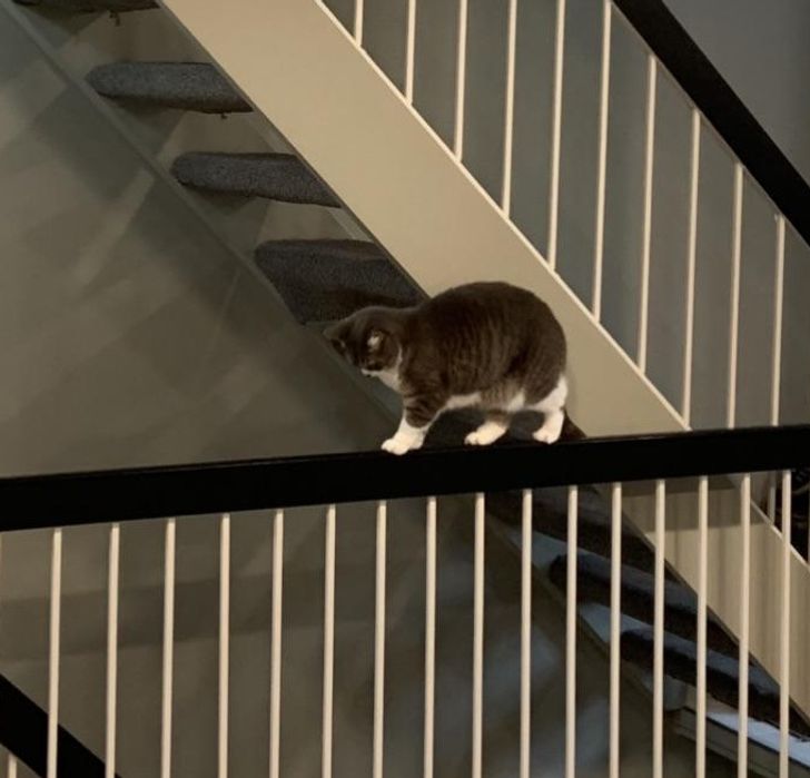 40ed2f5794a897e4cc6e775867