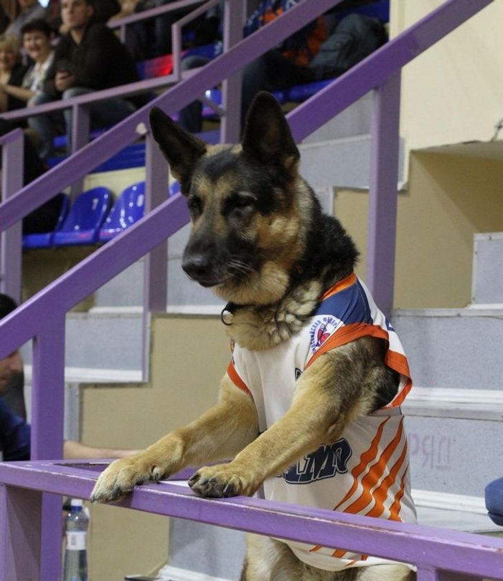 40ee705828998a19101c99a57b