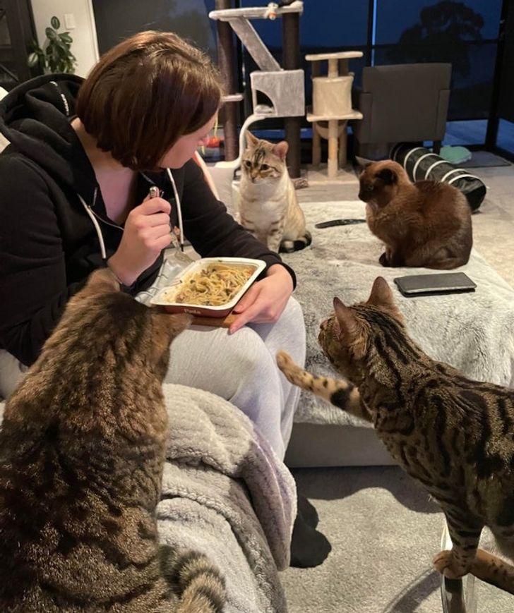 40f49053338fdc3d8b7fe79fb3