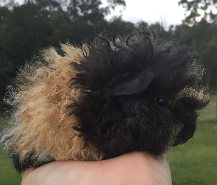 40f6a854a1a0c47212e2acde6f