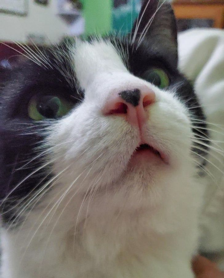 40f77d564fbfa95a41bd55a38d