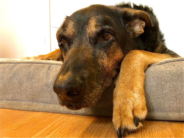 40fb065f9c8c20640066cf9f4b