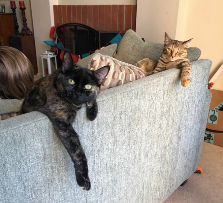 410c3659b3b8b183241194e681