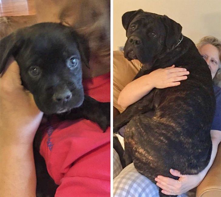 41102a53c9a09ac5acc46a8839