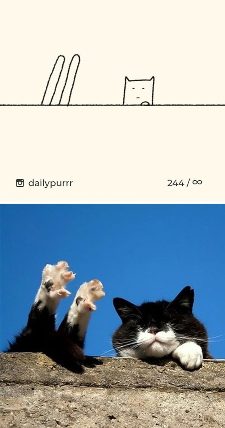 411dc950b88d29a3a540c2ae48