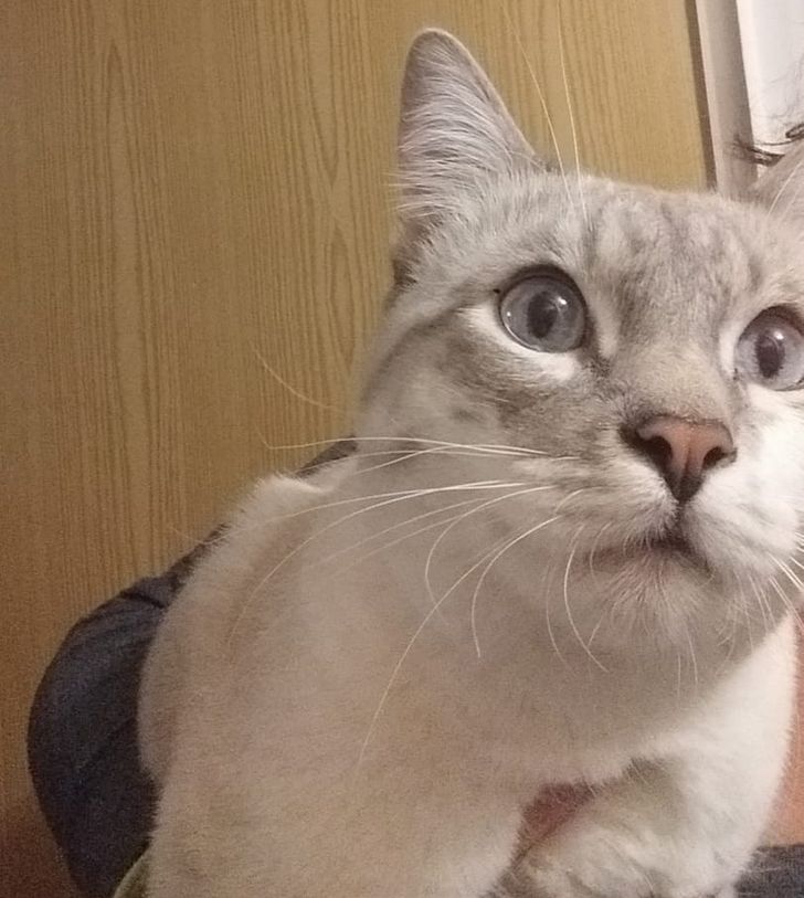 4121f954f682304c5b67bbbeac