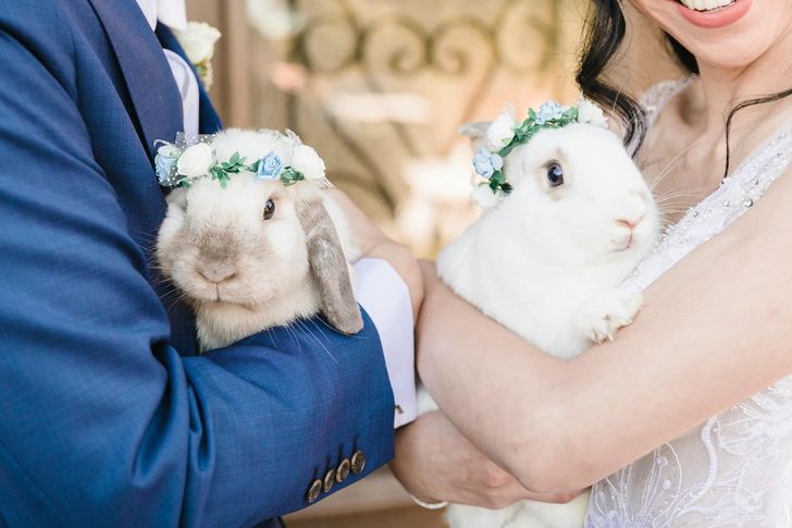 4122295d51bbf4810c1aaf7ae0